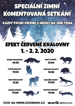 Efekt Červené královny